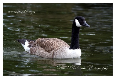 SYS30120 - "Lakes 026"